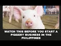 10 Things You Should Know Before Starting a Piggery Business in the Philippines