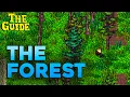 The Guide Forest ZERO Sievert