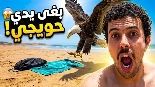 مشيت للبحر 🏝️  بالفوطة وشورت صافي و هجم عليا نسر🦅 بغا يدي ليا حويجي