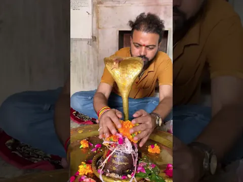 35/84 Mahadev ji दर्शन अभिषेक उज्जैन महाकाल वन 🥰 | #mahadev #mahakal #ujjain #yt  #jollyboyrakesh