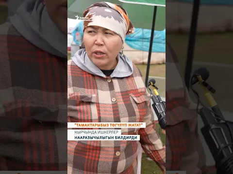 «Тамактарыбыз төгүлүп жатат”. Кырчында ишкердер нааразычылыгын билдирди