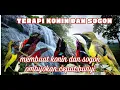 Download Lagu Terapi Konin dan Sogon ! Cocok untuk burun ombyokan !!!!