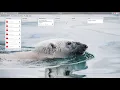 Automate Trello with Google Apps Script