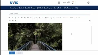 Brightspace - comparing the New content experience to the Classic content experience