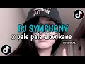 DJ SYMPHONY X PALE PALE ❗️SLOW KANE VIRAL TIKTOK 2025