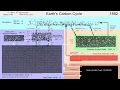 The Earth s Carbon Cycle since Pre-Industrial Era