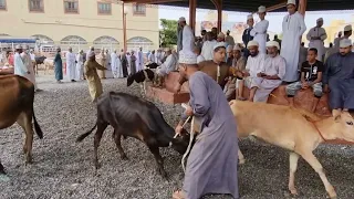 هبطة العيد في سوق نزوى الشعبي في سلطنة عمان تاريخ 6 7 2022 رحاب الظنحاني 