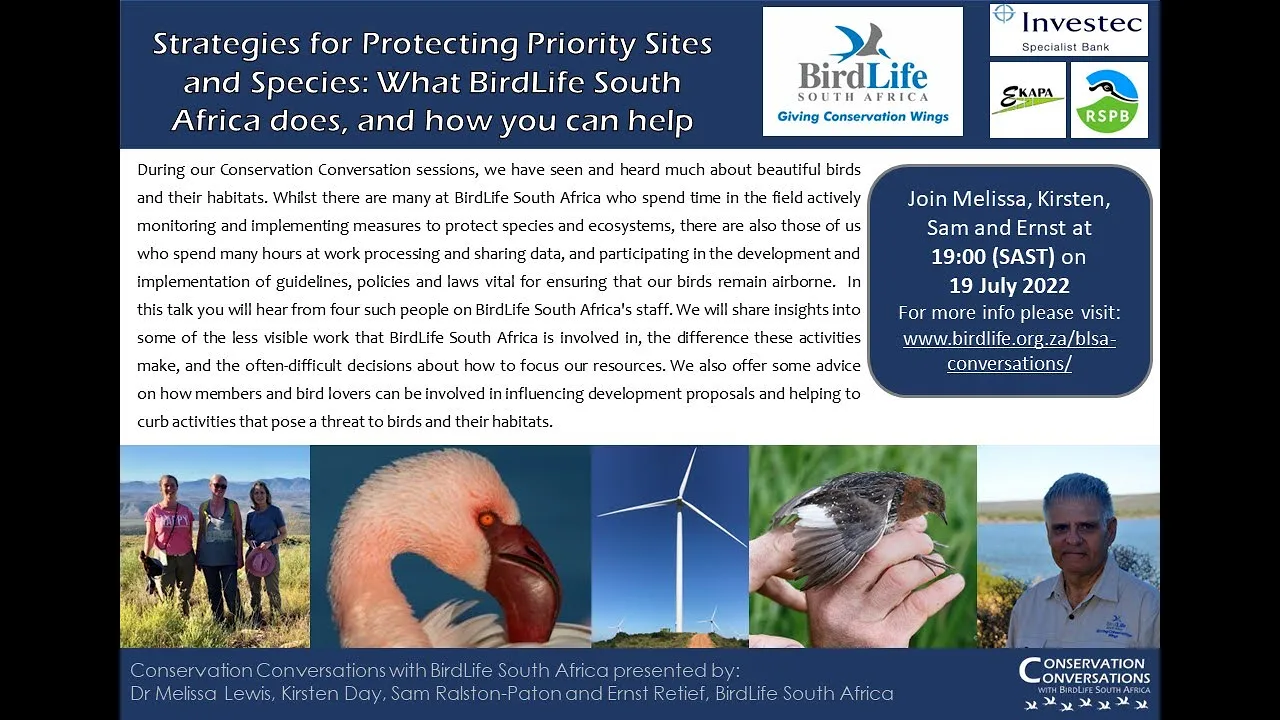 Conservation Conversations: Saving priority species and habitats - BirdLife South Africa (19Jul22)