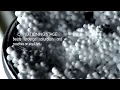 Styrofoam - How its made? Most Satisfying \u0026 Fascinating video about EPS manufacturing process