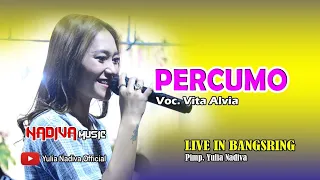 Download VITA ALVIA - Percumo Live Nadiva Music (Yulia Nadiva Official) MP3