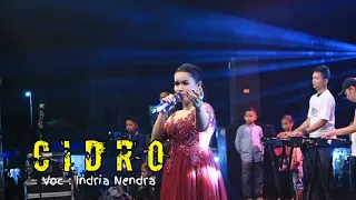 Download CIDRO - INDRIA NENDRA - OOMEGA - LIVE NGANTRU KEC. NGANTANG KAB. MALANG MP3