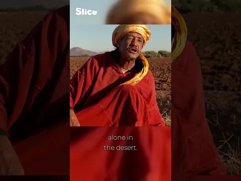 Face to Face with Morocco's Deadliest Snakes