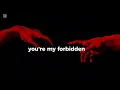 Download Lagu Forbidden Fruit Lyrics (Sam Tinnesz x Tommee Profitt x Brooke (