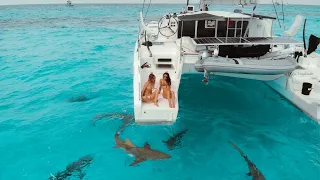 TIGER SHARKS surround our boat. WE SWIM WITH THEM! 🦈 Ep.197