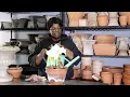 Amazon Unboxing Changing Indoor Containers Amaryllis Bulb Aftercare Michael s Garden Queen