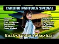 Download Lagu TARLING PANTURA SPESIAL - ENAK DI PUTAR SETIAP HARI