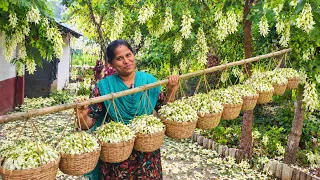 இன்னைக்கு ஒரே வேட்டைதான்! 😍 காலையிலேயே ஆரம்பிச்ச வேலை | INDIAKUTTY