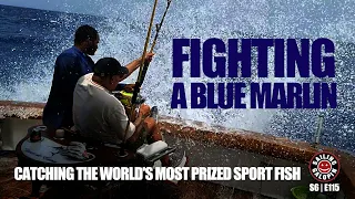 Fighting A Blue Marlin | Catching The Most Prized Sport Fish In Cabo Verde Africa | S6 Epsd 115