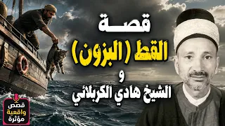 قصة القط ( البزون ) والشيخ هادي الكربلائي