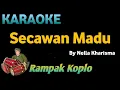 Download Lagu SECAWAN MADU - Kristina - KARAOKE HD VERSI KOPLO RAMPAK