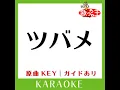 ツバメ (カラオケ) (原曲歌手:YOASOBI(feat. ミドリーズ))