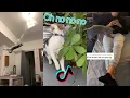 Download Lagu Oh no oh no oh no no no song - Cat TikTok Compilation