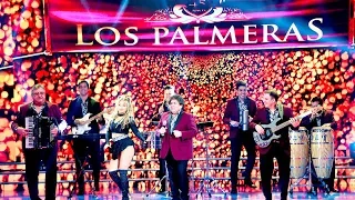 los palmeras cantaron 