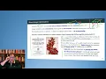 11 2 Optimization Methods - Mixed-Integer Optimization