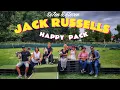 Download Lagu Jack Russells : Happy Pack (Birthday Party) (2025)