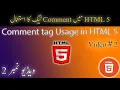 2 - Comment Tag Usage in HTML5