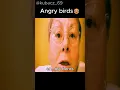 Angry birds