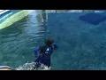 St Augustine Aquarium