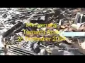 Download Lagu #16 tahun lalu 26des 2004-26 Des 2020 Tsunami Aceh | Lagu Tsunami Sedih