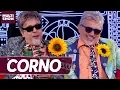 Download Lagu O encontro dos cornos Falcão e Falcontom | Tom Cavalcante | Multi Tom | Humor Multishow