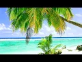 Relaxing Tropical Beach and Palm Trees Ocean Sounds for Meditation Study and Sleep 10 Hours