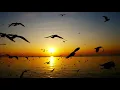 Download Lagu Heart Soothing ∥ Sura Yaseen ∥ Abdullah Al-Matrood