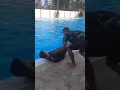 Download Lagu commando water training || #commando #training