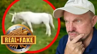 Are UNICORNS real