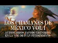 AUDIOLIBROS JACOBO GRINBERG LOS CHAMANES DEMEXICO VOL 1 Voz Ivan Fitzsimmons