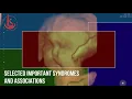 Download Lagu Fetal Syndromes Masterclass - Brussels 17 August 2019
