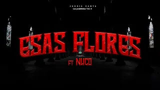 JAURIA SANTA FT. NUCO // ESAS FLORES // VISUALIZER