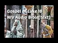 Luke 18 NIV Bible with text