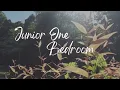 Eagle Ridge Apartments - Junior One Bedroom