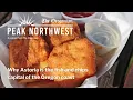 Why Astoria is the fish and chips capital of the Oregon coast