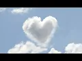 프라이머리(Primary) - Love (Feat. 범키, 팔로알토)ㅣ1시간ㅣ반복재생ㅣ1hour
