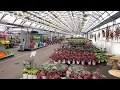 Hi-Way Garden Center Tour Spring Flower Shopping