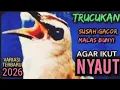 Lagu TRUCUKAN OMBYOKAN TRUCUK BAHAN PAUT BISU AGAR BUNYI GACOR DENGAR SUARA TRUCUK GACOR NGALAS INI ‼️