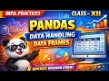 Pandas Data Frames in 5 Minutes Class 12 Information Practices Quickest Revision Ever