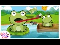 Download Lagu Ada Kodok rekotok rekotok - Lagu Anak Indonesia | Oli Ola Kids