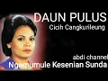 Download Lagu DAUN PULUS  Cicih Cangkurileung